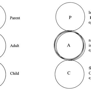 The neopsyche: the integrating Adult ego state* 